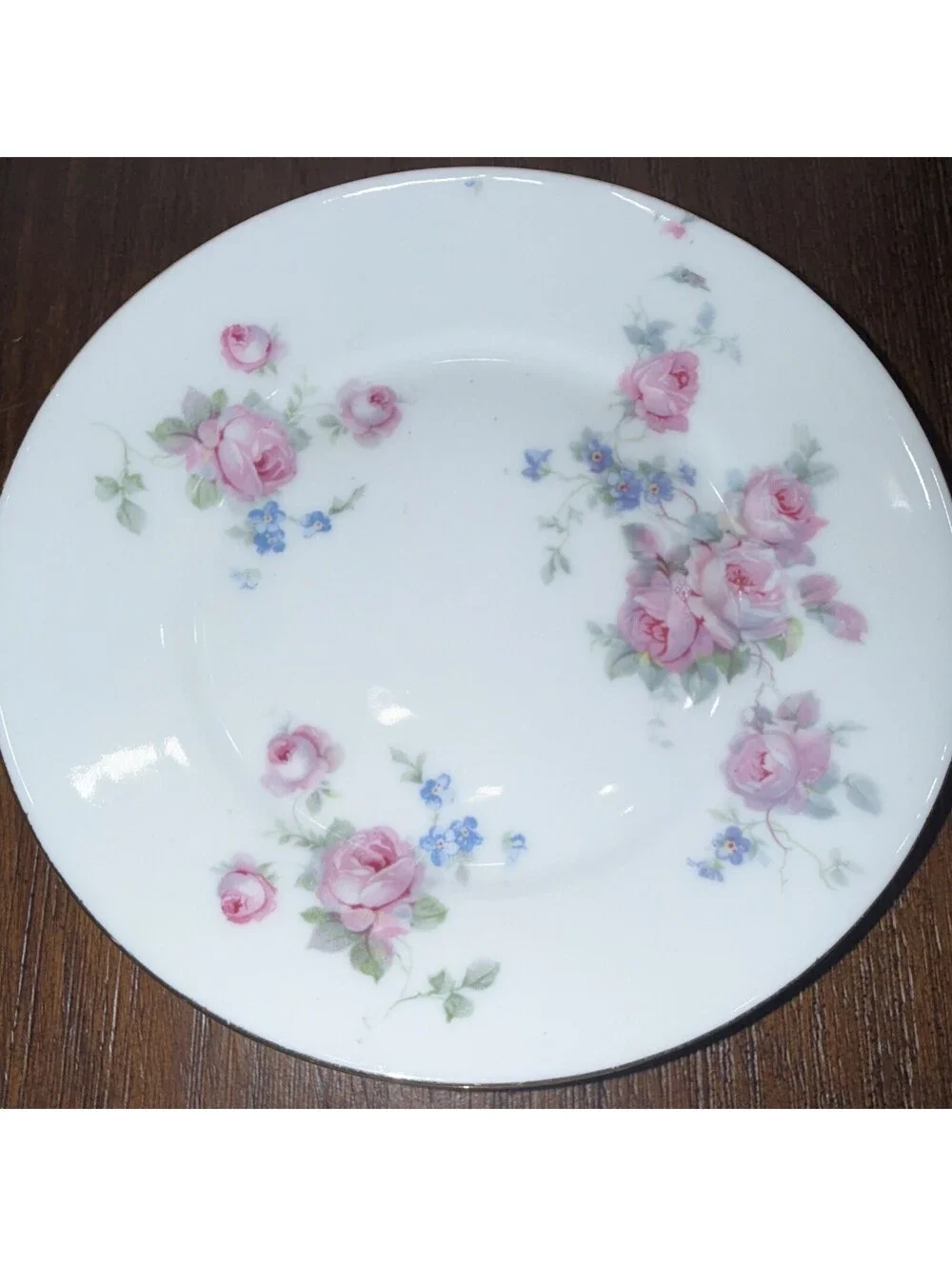 Bavaria Porcelain Dinner Plates Set of 4, White Floral Rose Pattern